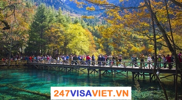 247visatq-resize-2